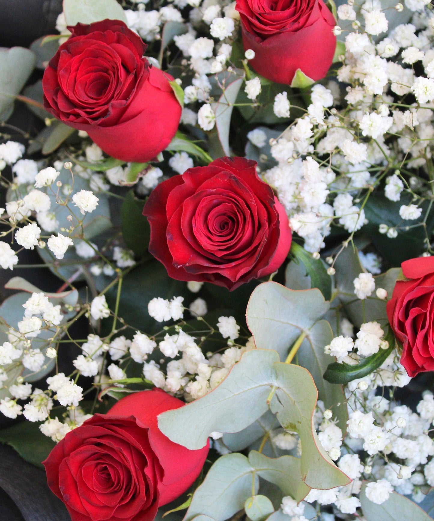 Rose-Garden-Red-Roses-A-classic-love-statement